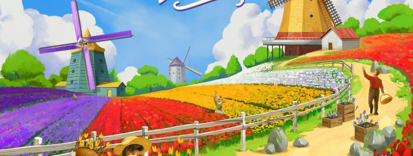 windmill valley box art