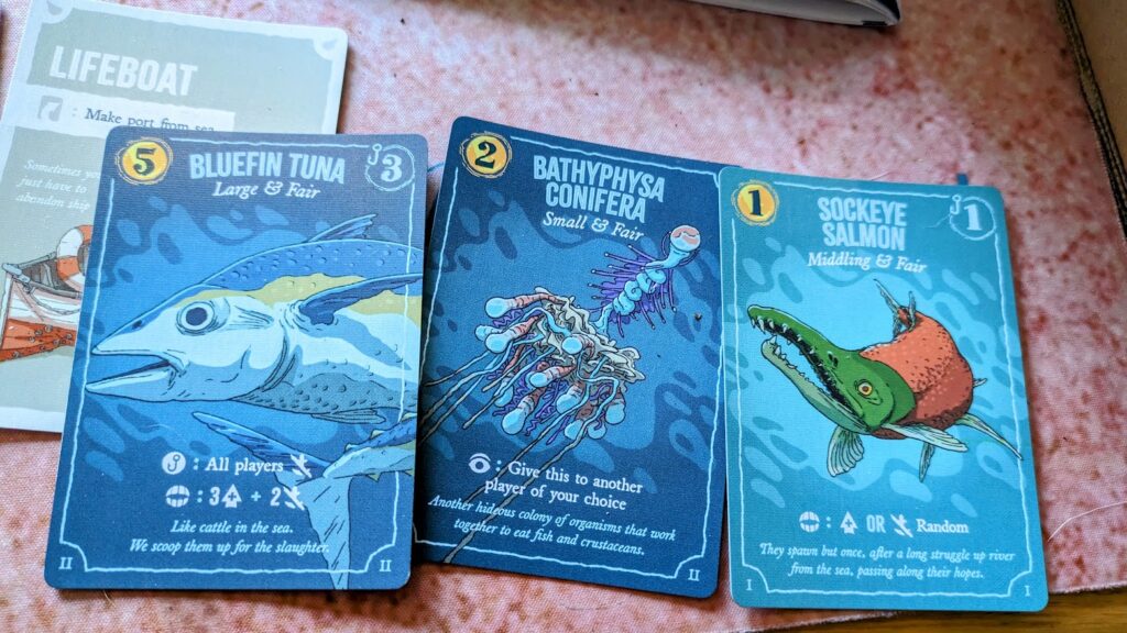 some of the fish cards