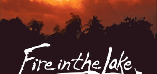 fire in the lake box art